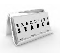 Executive Search 